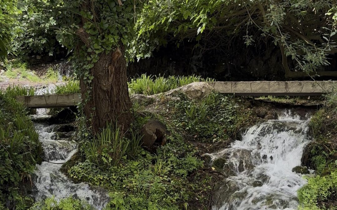 Río Peralta en Pozo Alcón: un plan perfecto entre baño, naturaleza y picnic.